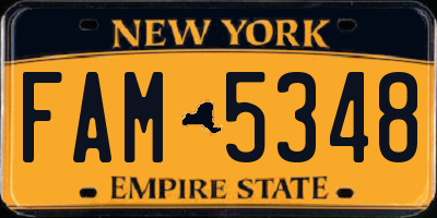 NY license plate FAM5348