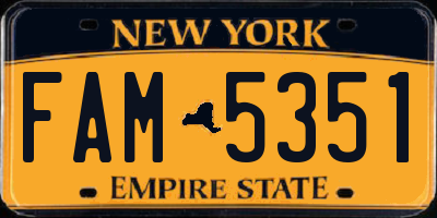NY license plate FAM5351