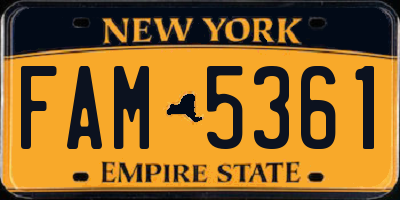 NY license plate FAM5361