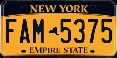 NY license plate FAM5375