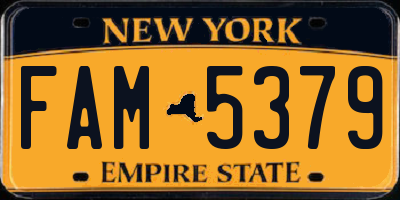 NY license plate FAM5379