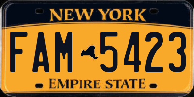 NY license plate FAM5423