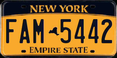 NY license plate FAM5442