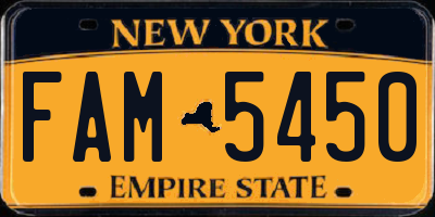 NY license plate FAM5450