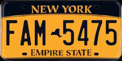 NY license plate FAM5475