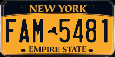 NY license plate FAM5481