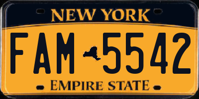 NY license plate FAM5542