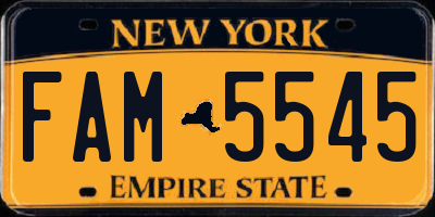 NY license plate FAM5545