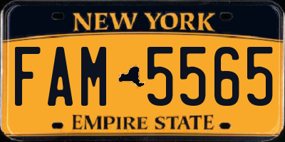 NY license plate FAM5565