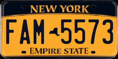 NY license plate FAM5573
