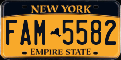 NY license plate FAM5582