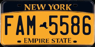 NY license plate FAM5586