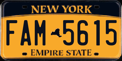 NY license plate FAM5615