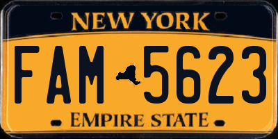 NY license plate FAM5623