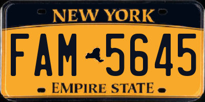 NY license plate FAM5645