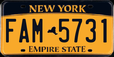 NY license plate FAM5731