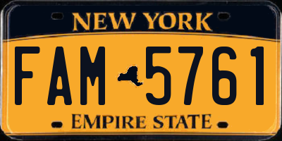 NY license plate FAM5761