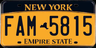 NY license plate FAM5815