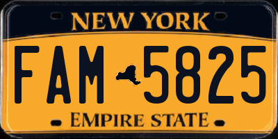 NY license plate FAM5825