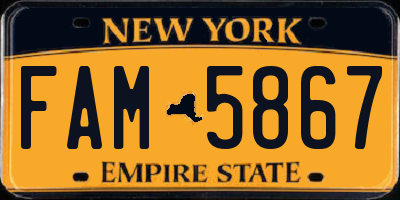 NY license plate FAM5867