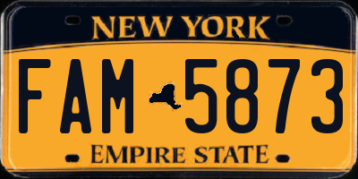 NY license plate FAM5873