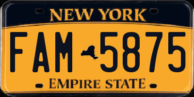 NY license plate FAM5875
