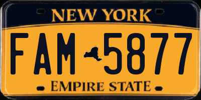 NY license plate FAM5877