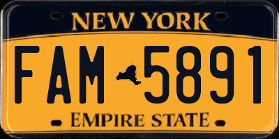 NY license plate FAM5891