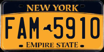 NY license plate FAM5910