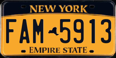 NY license plate FAM5913