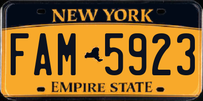 NY license plate FAM5923