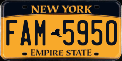 NY license plate FAM5950