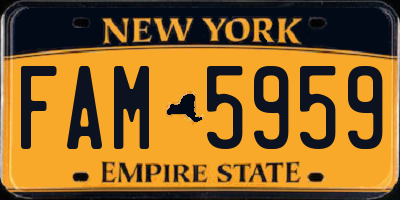 NY license plate FAM5959