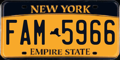 NY license plate FAM5966