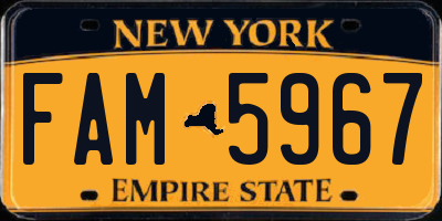 NY license plate FAM5967