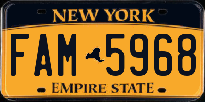 NY license plate FAM5968
