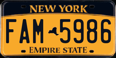 NY license plate FAM5986