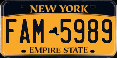 NY license plate FAM5989