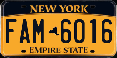 NY license plate FAM6016