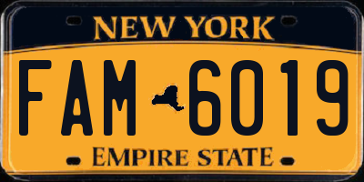 NY license plate FAM6019