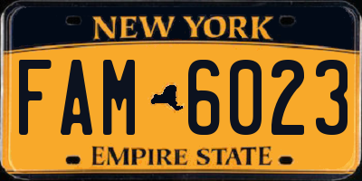 NY license plate FAM6023