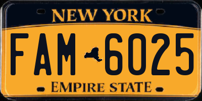 NY license plate FAM6025