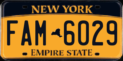 NY license plate FAM6029