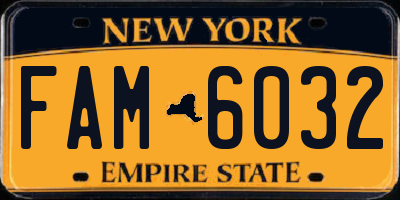 NY license plate FAM6032