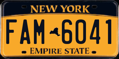 NY license plate FAM6041