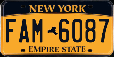NY license plate FAM6087