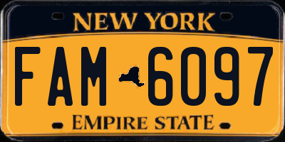 NY license plate FAM6097