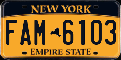 NY license plate FAM6103