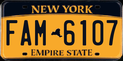 NY license plate FAM6107