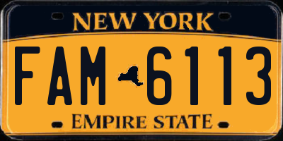 NY license plate FAM6113